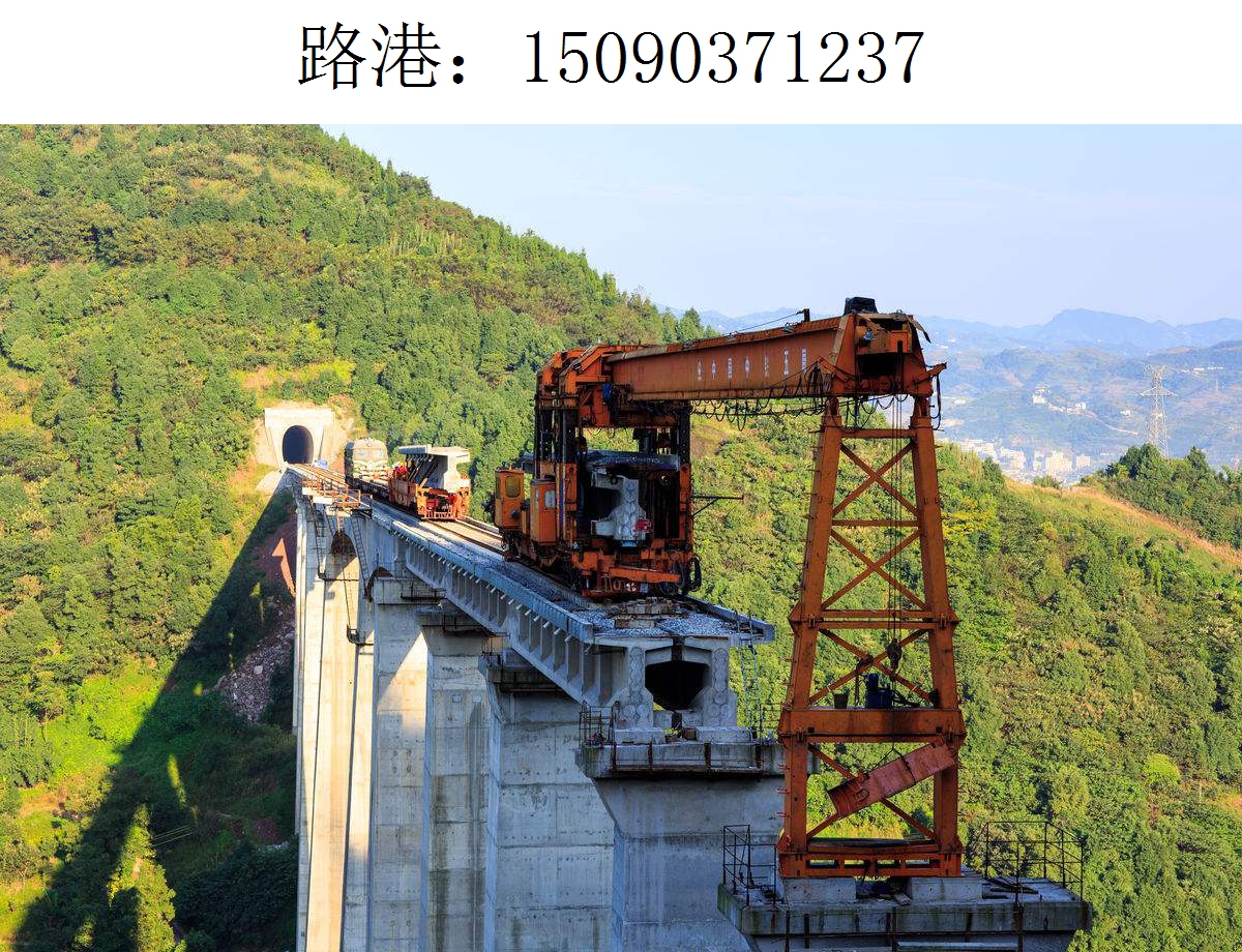 1237路港架橋機204